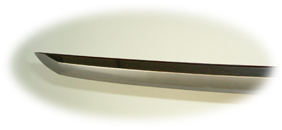 Microcebus