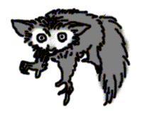 アイアイイラスト